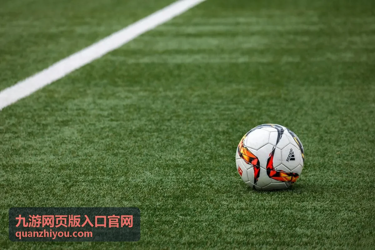 九游网页版入口官网登录问题排查自查步骤示意画面
