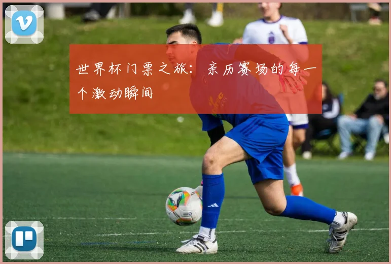 世界杯门票之旅：亲历赛场的每一个激动瞬间