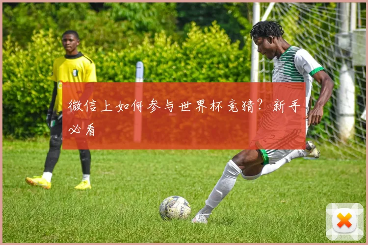 微信上如何参与世界杯竞猜？新手必看
