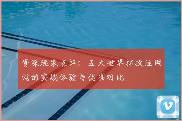 资深玩家点评：五大世界杯投注网站的实战体验与优劣对比