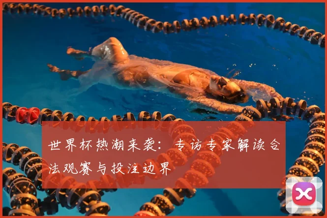世界杯热潮来袭:专访专家解读合法观赛与投注边界