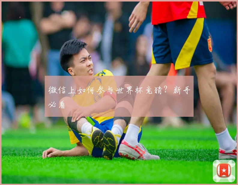 微信上如何参与世界杯竞猜？新手必看