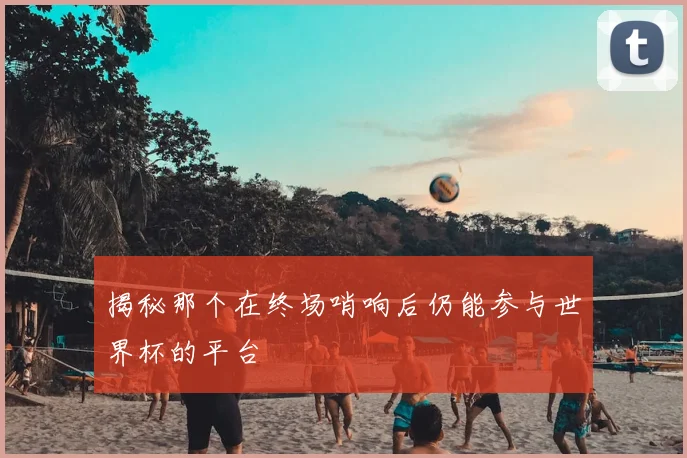 揭秘那个在终场哨响后仍能参与世界杯的平台