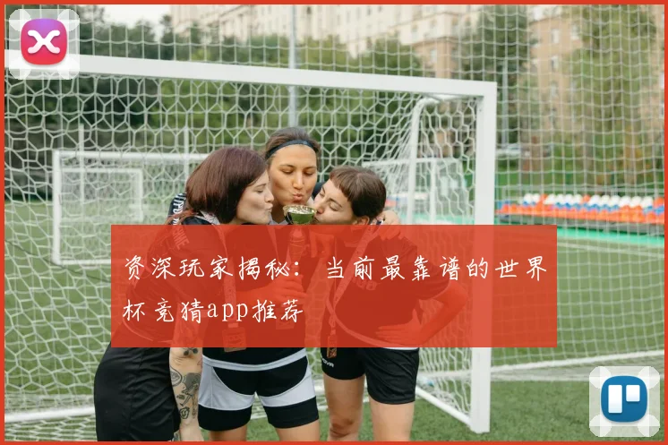 资深玩家揭秘：当前最靠谱的世界杯竞猜app推荐