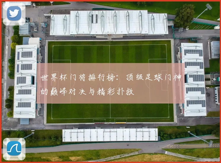 世界杯门将排行榜：顶级足球门神的巅峰对决与精彩扑救